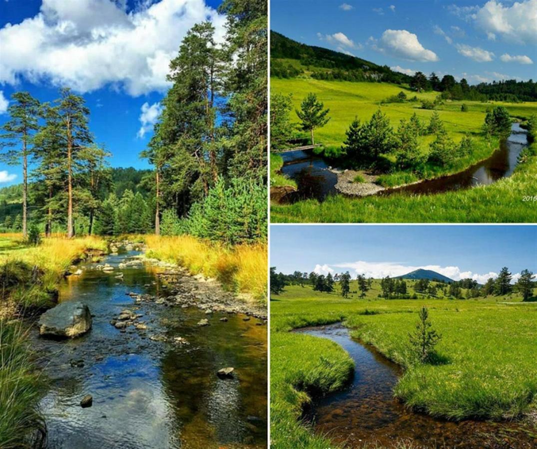 Centar! Lara Zlatibor Διαμέρισμα Εξωτερικό φωτογραφία